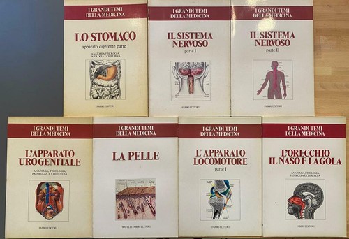 Lotto volumi grandi temi - 13, i