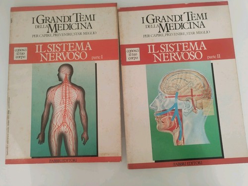 Sistema nervoso 2 - il,